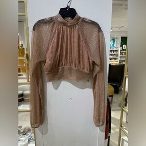 Elegant Metallic Sheer Top